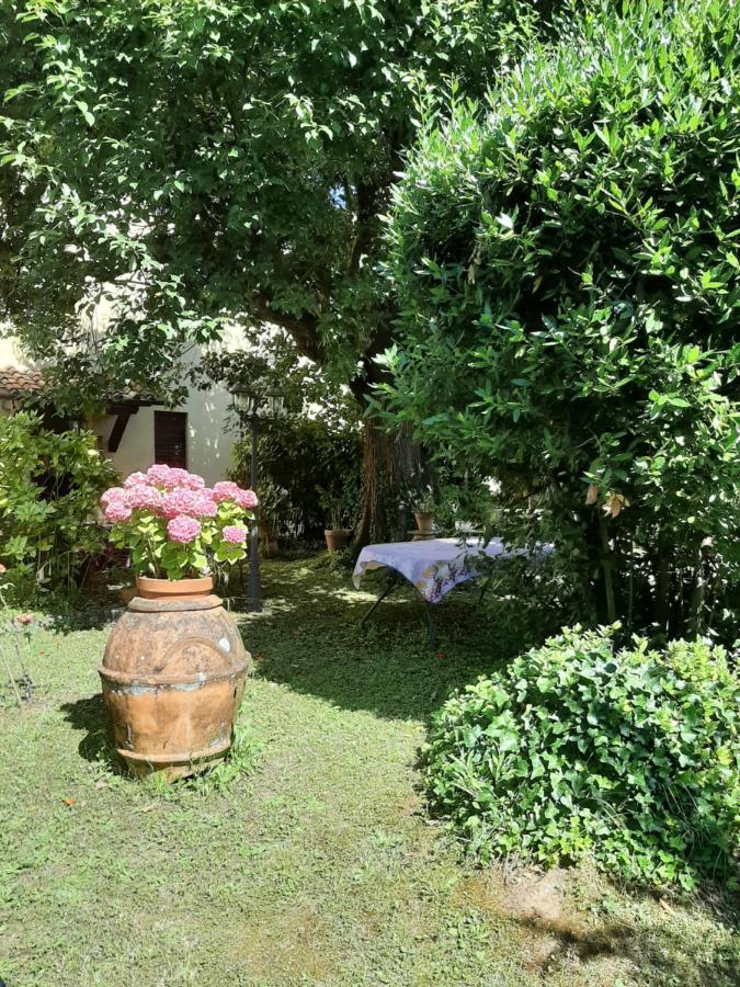 Antica Fattoria La Verdina Camaiore Eksteriør billede