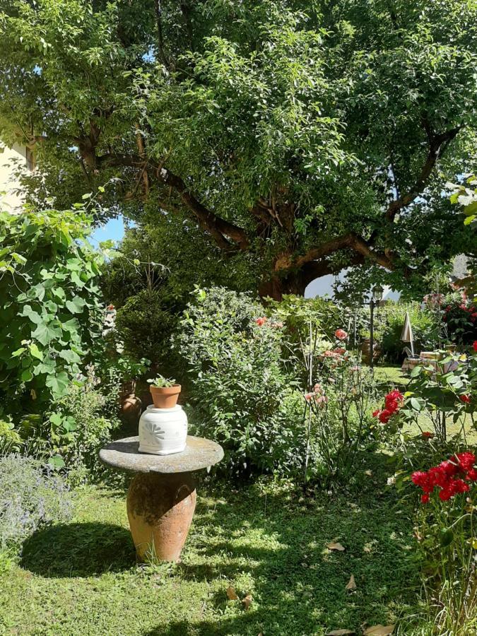 Antica Fattoria La Verdina Camaiore Eksteriør billede