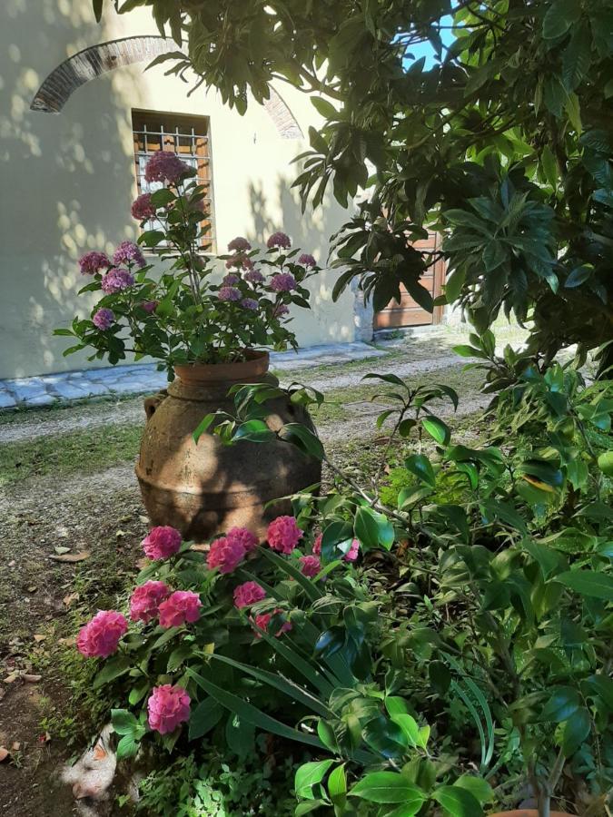 Antica Fattoria La Verdina Camaiore Eksteriør billede