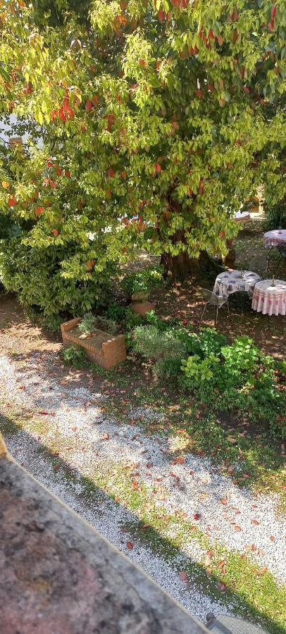 Antica Fattoria La Verdina Camaiore Eksteriør billede